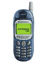 Best available price of Motorola T190 in Sanmarino